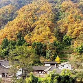 紀錄片《西河流韻》之五指山拍攝花絮