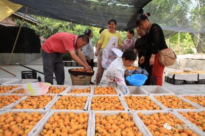 這才是我們值得慶祝的節(jié)日–“中國農民豐收節(jié)”